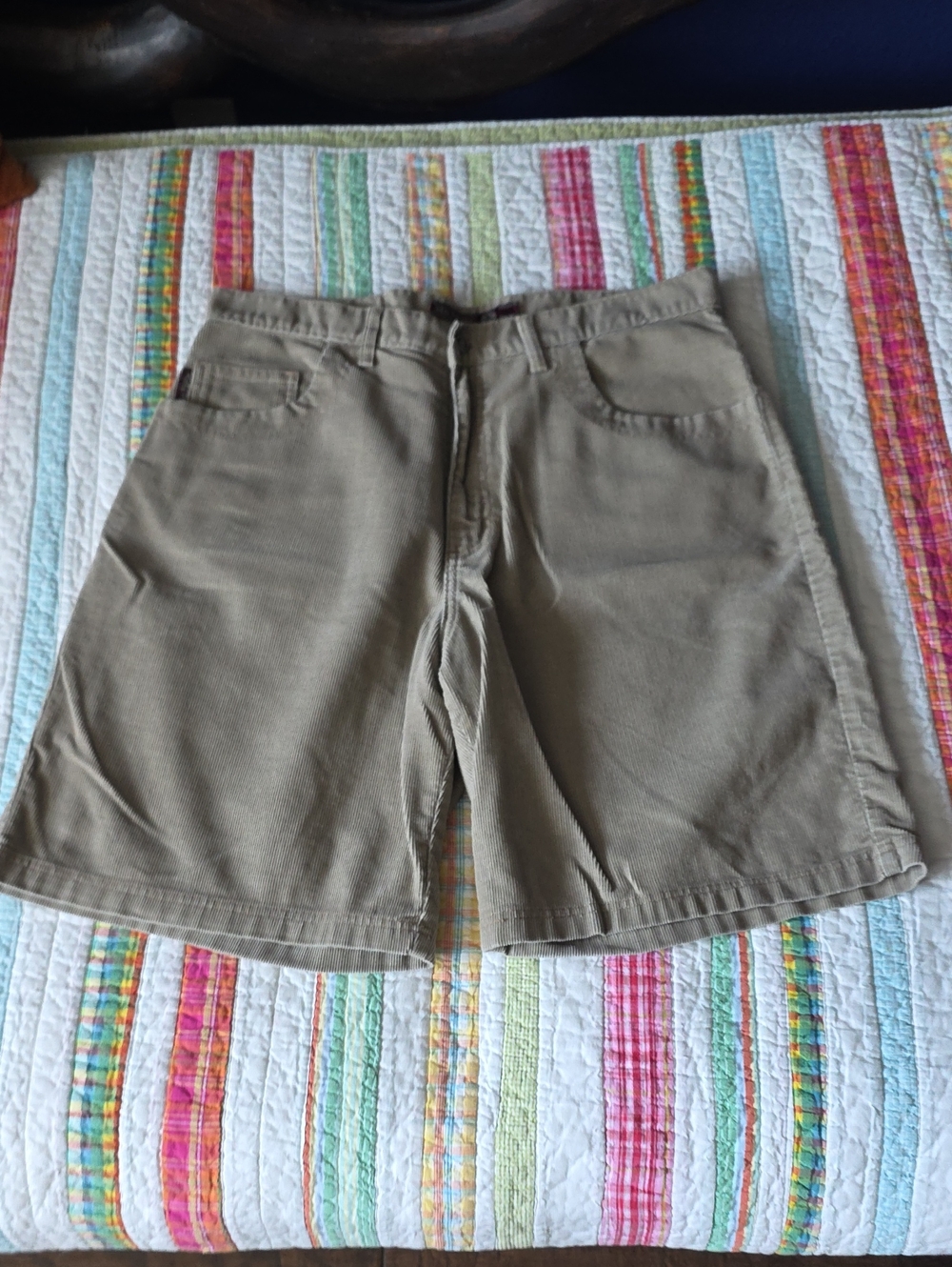 Vintage No Fear Men's Corduroy Shorts
